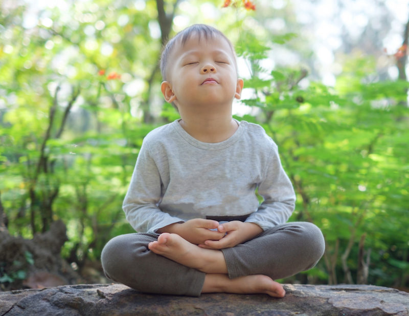 meditation helps support emotional expression